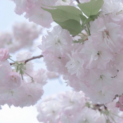 和顺FurryQQ群介绍